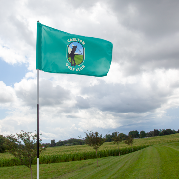 Flag of St Paul, Minnesota Golf Head Cover